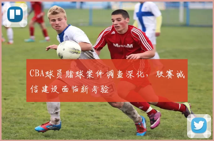 CBA球员赌球案件调查深化,联赛诚信建设面临新考验