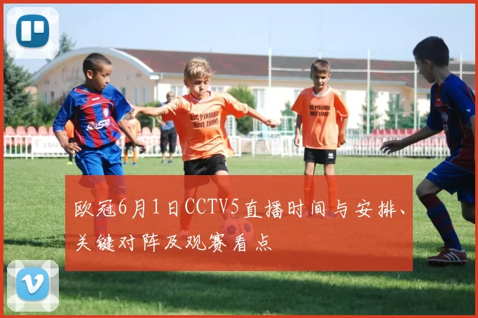 欧冠6月1日CCTV5直播时间与安排、关键对阵及观赛看点
