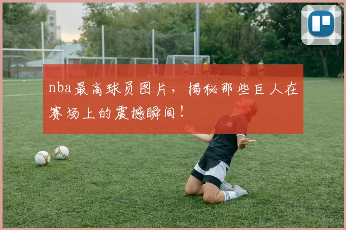 nba最高球员图片，揭秘那些巨人在赛场上的震撼瞬间！