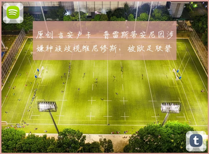 原创 吉安卢卡・普雷斯蒂安尼因涉嫌种族歧视维尼修斯，被欧足联禁赛