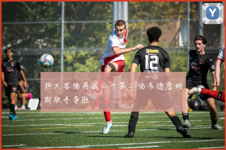 热火客场再战公牛第二场韦德詹姆斯联手争胜