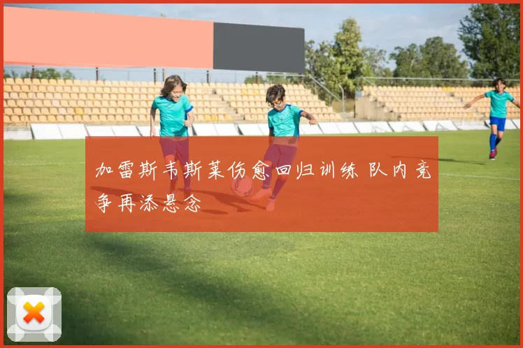 加雷斯韦斯莱伤愈回归训练 队内竞争再添悬念