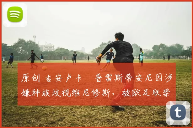 原创 吉安卢卡・普雷斯蒂安尼因涉嫌种族歧视维尼修斯,被欧足联禁赛