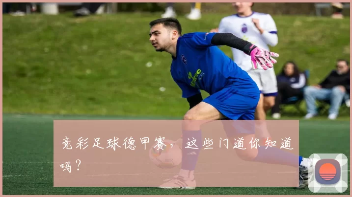 竞彩足球德甲赛，这些门道你知道吗？