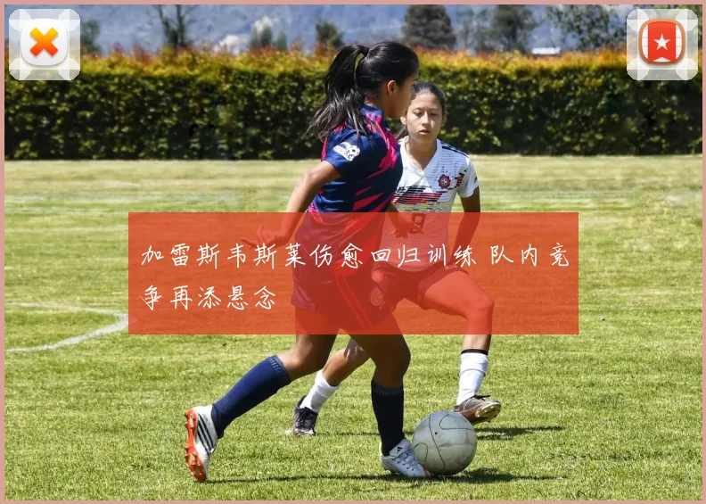 加雷斯韦斯莱伤愈回归训练 队内竞争再添悬念