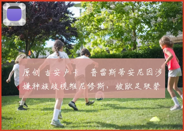 原创 吉安卢卡・普雷斯蒂安尼因涉嫌种族歧视维尼修斯,被欧足联禁赛