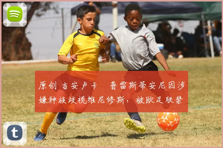 原创 吉安卢卡・普雷斯蒂安尼因涉嫌种族歧视维尼修斯，被欧足联禁赛