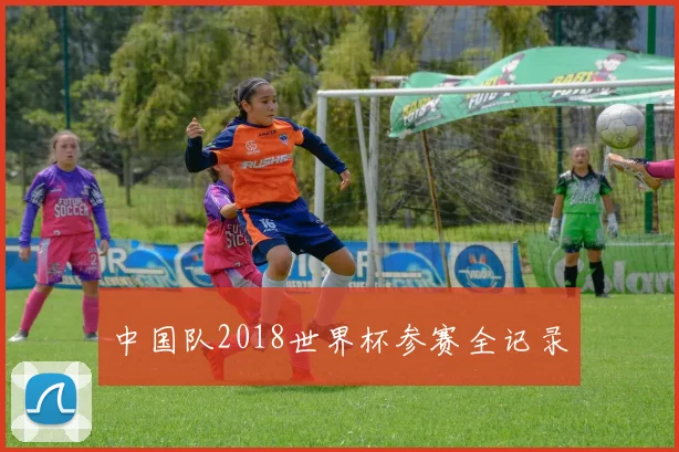 中国队2018世界杯参赛全记录