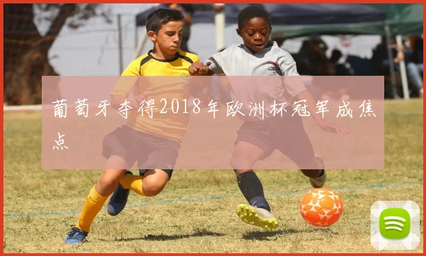 葡萄牙夺得2018年欧洲杯冠军成焦点