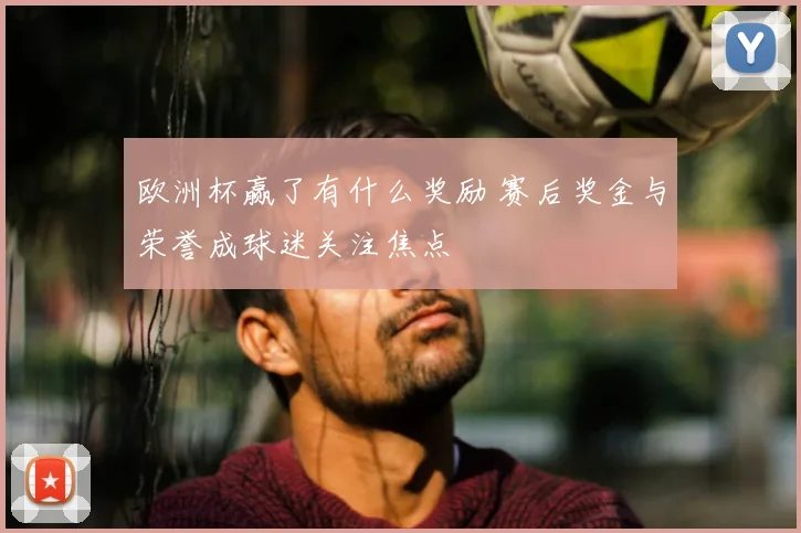 欧洲杯赢了有什么奖励 赛后奖金与荣誉成球迷关注焦点