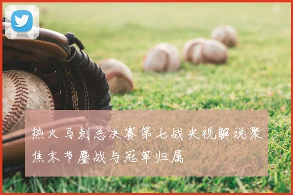 热火马刺总决赛第七战央视解说聚焦末节鏖战与冠军归属