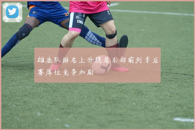 雄鹿队排名上升稳居东部前列季后赛席位竞争加剧