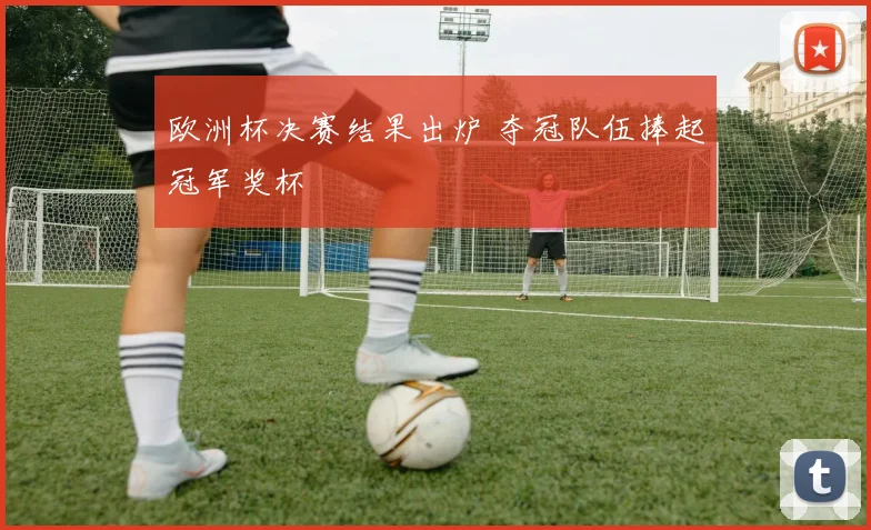 欧洲杯决赛结果出炉 夺冠队伍捧起冠军奖杯