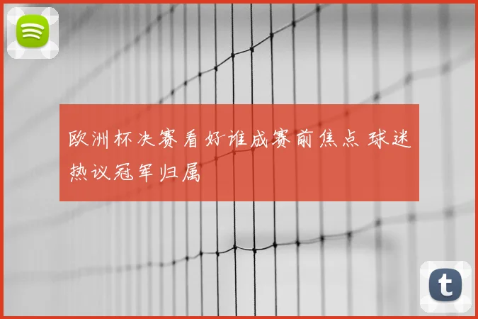 欧洲杯决赛看好谁成赛前焦点 球迷热议冠军归属