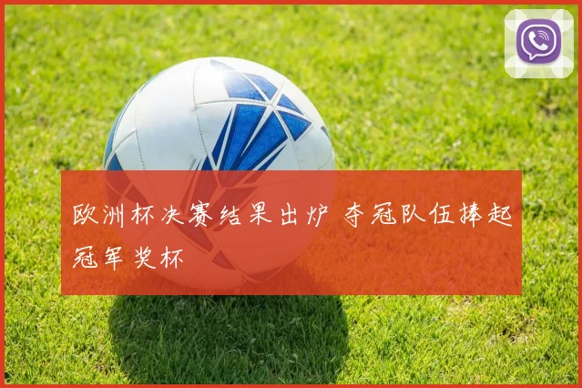 欧洲杯决赛结果出炉 夺冠队伍捧起冠军奖杯