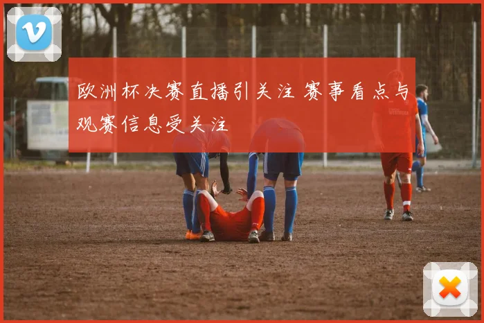 欧洲杯决赛直播引关注 赛事看点与观赛信息受关注